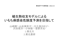 植生熱収支モデルによる