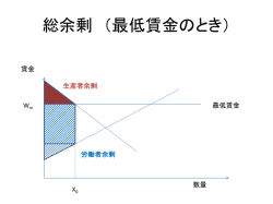 ミクロ経済学Ⅰ