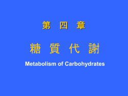 糖 代 谢 - 中国医科大学