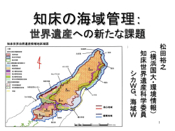 PowerPoint プレゼンテーション