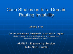 An Analysis on Intra-Domain Routing Instability of