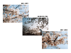 PowerPoint プレゼンテーション
