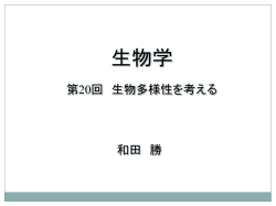 ｽﾗｲﾄﾞ ﾀｲﾄﾙなし