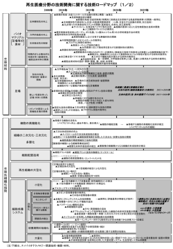 ロードマップ