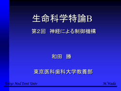 ｽﾗｲﾄﾞ ﾀｲﾄﾙなし