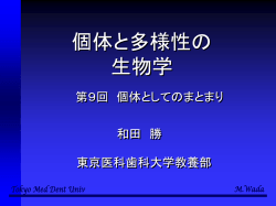 ｽﾗｲﾄﾞ ﾀｲﾄﾙなし