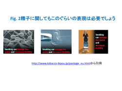 PowerPoint プレゼンテーション