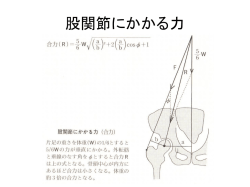 運動指導の方針