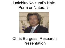 Junichiro Koizumi’s Hair
