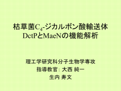 Document