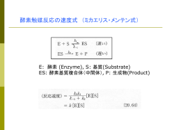 5 化学平衡