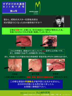 PowerPoint プレゼンテーション