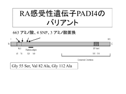 RA感受性遺伝子PADI4の バリアント