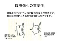 腰部疾患の運動指導