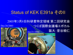 Status of KEK E391a そのII