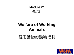 Concepts in Animal Welfare