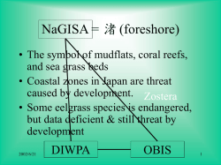 IBOY - NaGISA &ndash; DIWPA