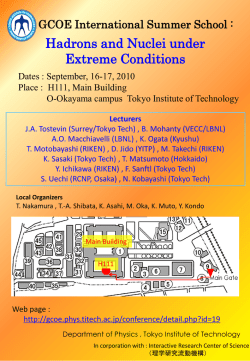 International Workshop on Physics of Nuclei at