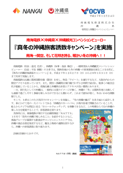 『真冬の沖縄旅客誘致キャンペーン』を実施(PDF:250KB)
