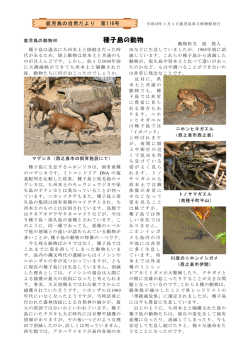 種子島の動物 - 鹿児島県