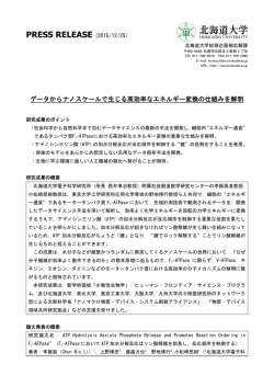（電子科学研究所 教授 小松崎民樹）（PDF）
