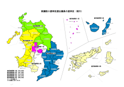 衆議院（小選挙区）（PDF：175KB）