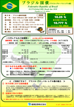 （ブラジル・グローバル･レアル債） [PDF:598KB]