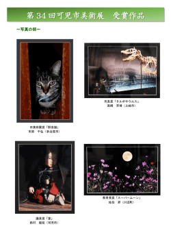 写真 上位入賞者の作品(pdf 281KB)