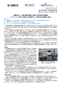 細胞内タンパク質の動きを調べる新たな計測手法を開発