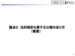 論点2 法的検討も要する公報のあり方 （概要）