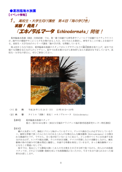「エキノデルマータ Echinodermata」開催！