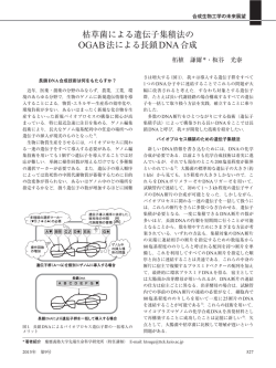 枯草菌による遺伝子集積法の OGAB法による長鎖DNA合成