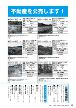 日曜納税相談／インターネット公売(P16～17)(PDF文書)
