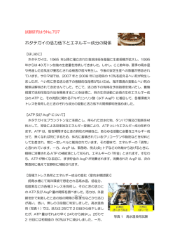 試験研究は今No.797「ホタテガイの活力低下とエネルギー成分の関係」