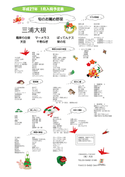 三浦大根 - 大治