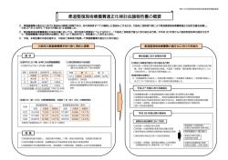 柔道整復施術療養費適正化検討会議報告書の概要