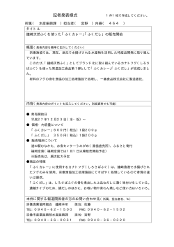 記者発表様式