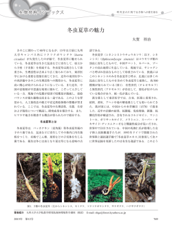 冬虫夏草の魅力 - 日本生物工学会