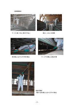 詳細3（P172～P220）（PDF：1415KB）