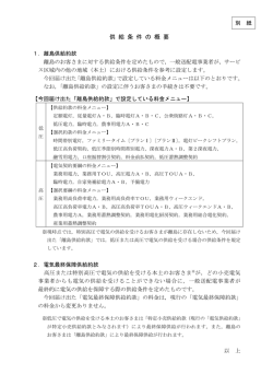 別紙：供給条件の概要