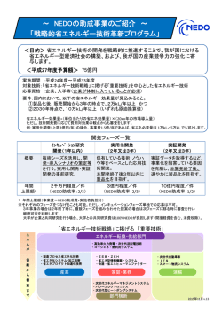 268KB - 新エネルギー・産業技術総合開発機構