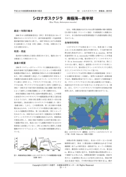詳細版PDF - 国際漁業資源の現況