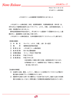 JR九州ファーム糸島農場で初収穫がはじまりました JR九州ファーム株式