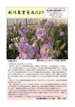 新川農業普及だより