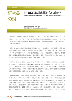 別ウィンドウで全文表示 - ニッセイ基礎研究所