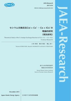 JAEA-Research-2015-014:2.46MB