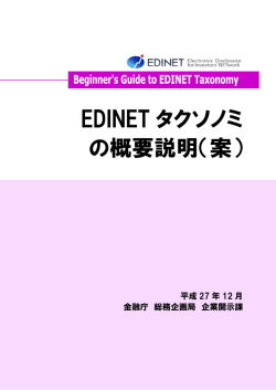 EDINETタクソノミの概要説明（案）（PDF:1731KB）