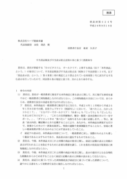 別添[PDF:966KB]