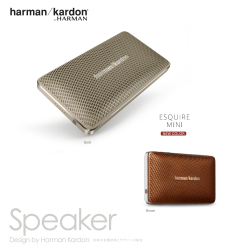 Brown Gold - Harman Kardon