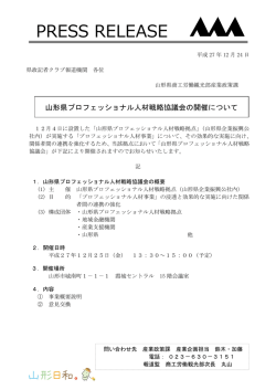 プレスリリース (PDF documentファイル サイズ